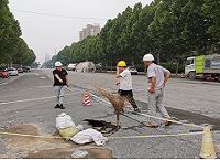 香港资料公开免费大全